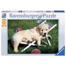 Puzzle-Cachorros-Golden-Retriver-500-Piezas