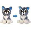 Feisty-Pets-Grey-Dog