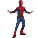 spiderman drim