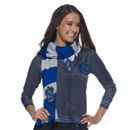 Lenco-da-Corvinal-de-Harry-Potter