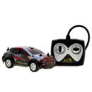 Voiture-de-rallye-Monster-R---C