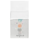 Saco-nordico-da-amizade-50---80-cm-Amigos