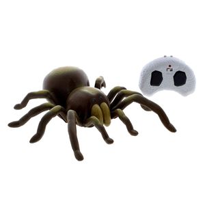 Tarantula-R---C