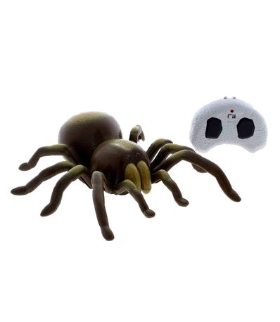 Tarantula-R---C