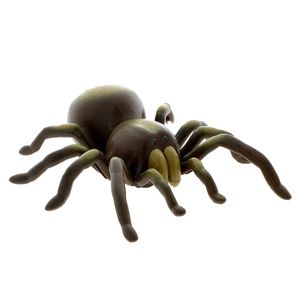 Tarantula-R---C_1