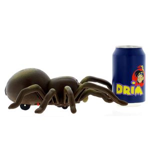 Tarantula-R---C_5