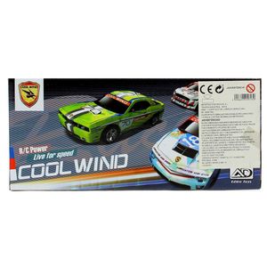 Courses-de-voitures-Cool-Wind-Saggitarius-R---C-1-24_4