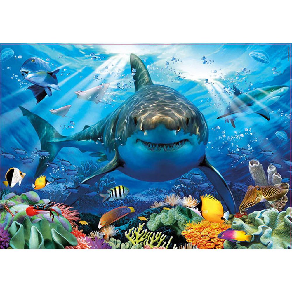 puzzles de 500 piezas