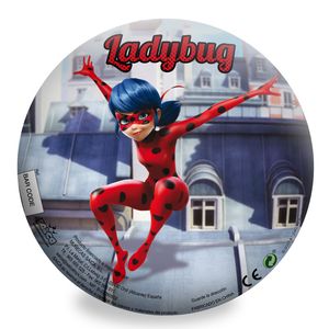 Ladybug-Bola-de-PVC-de-24cm_1