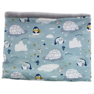 Cache-cou-Penguin-Polaar