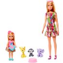 Barbie-Dreamtopia-Chelsea-et-l--39-anniversaire-perdu