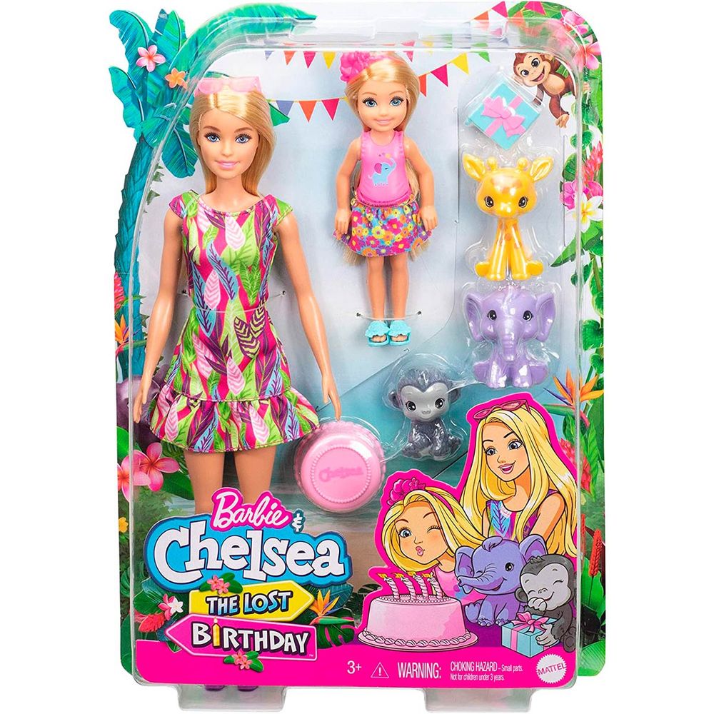 Barbie Et Chelsea : L'anniversaire Perdu Barbie Dreamtopia Chelsea et l'anniversaire perdu - drimjuguetesfr