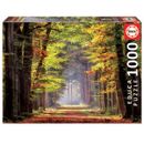 Puzzle-Marche-d--39-automne-1000-pieces