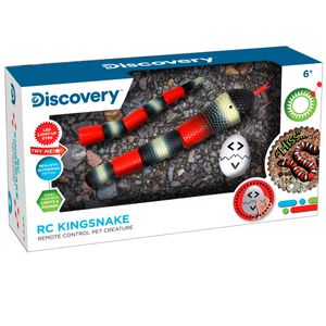 Discovery-Snake-Kingsnake-R---C_3