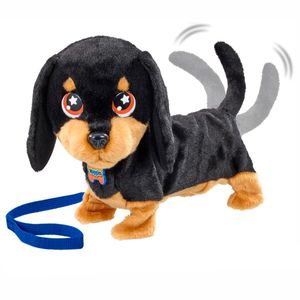 Waggles-ma-saucisse-de-chiot