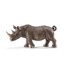 Figura-Rhino