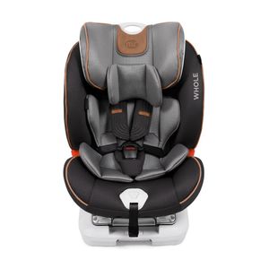 Correcao-Completa-Dual-Group-0-1-2-3-Cinza