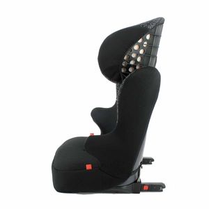 Starter-Fix-Group-2-3-Mickey-Ear-Echo_1