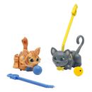 Pet-Parade-2-gatinhos-cinza-e-laranja