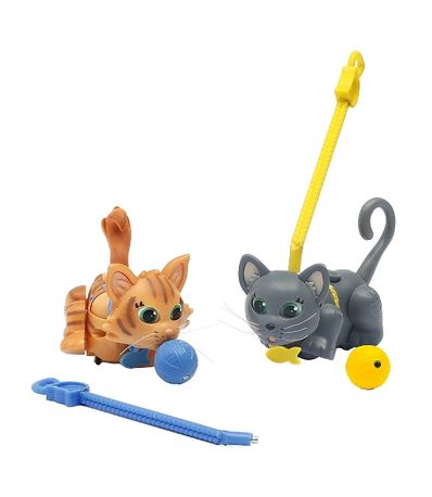 Pet-Parade-2-Gatitos-Gris-Y-Naranja