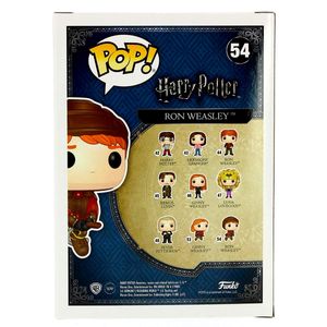 Funko-Pop-Ron-On-Broom_2