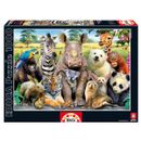 Puzzle-de-classe-animale-de-1000-pieces