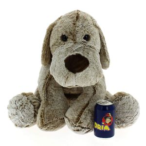 cao-Teddy-40-cm_2