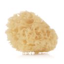 Esponja-Natural-2-unidades