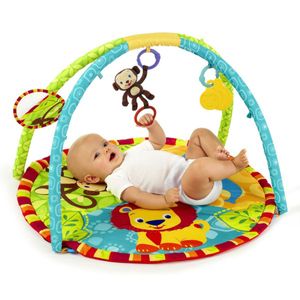 Gimnasio-Jungla_1