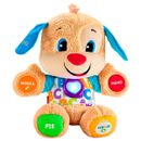 Cachorrinho-primeiro-descobrimentos