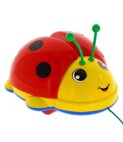 Coccinelle-qui-roule